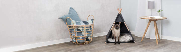 prospekt februar nextsitebanner s2 1370x400 prospekt februar nextsitebanner s2 1370x400